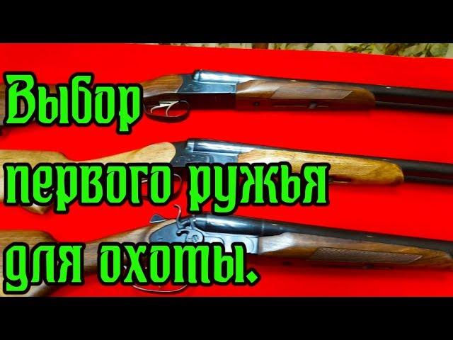 Выбор и покупка первого ружья для охоты.