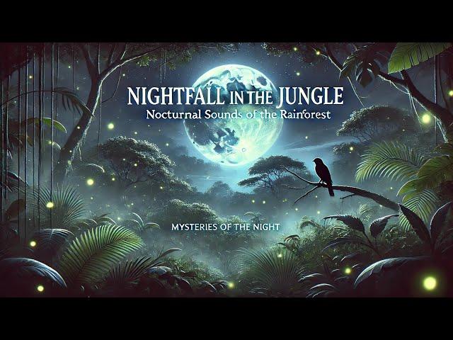 Nightfall in the Jungle: Nocturnal Sounds of the Rainforest  Mysteries of the Night 