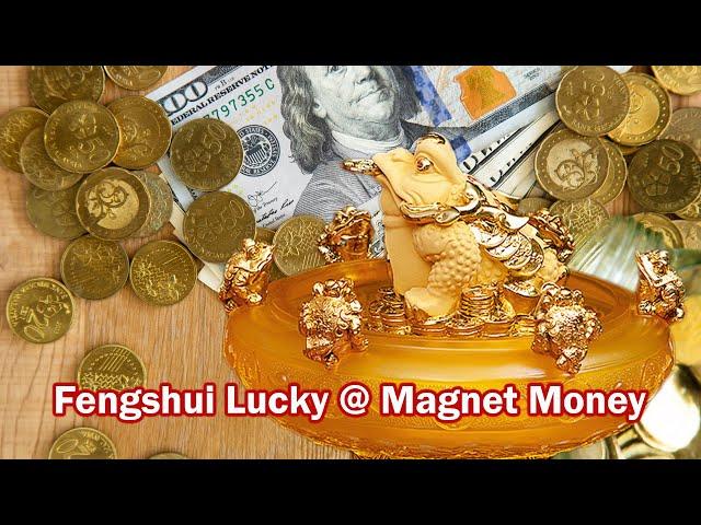 Lucky Golden Toad Music | Money Magnet | Meditation