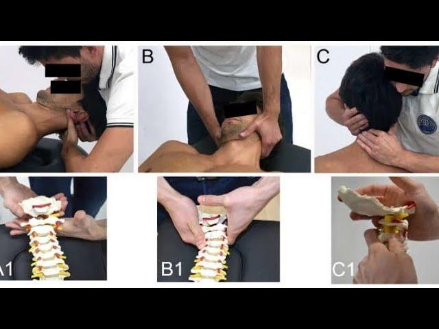 Manual Mobilization | Upper limb Neurodynamics | Lower Limb Neurodynamics Live Stream