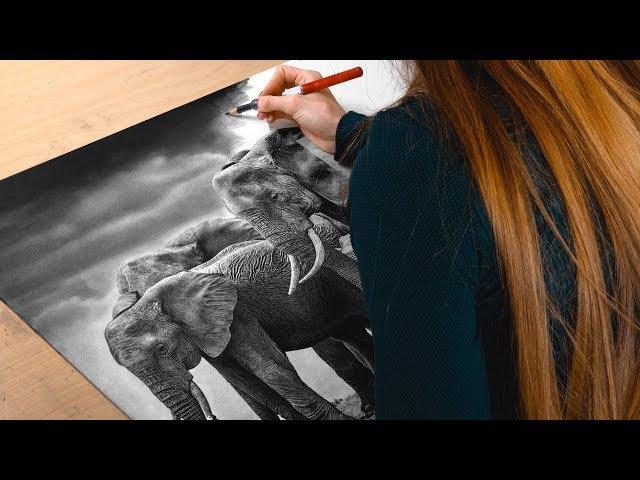 Drawing Elephants - The Circle of Life