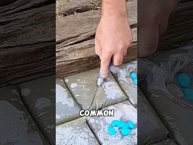 This simple DIY transformed his backyard!