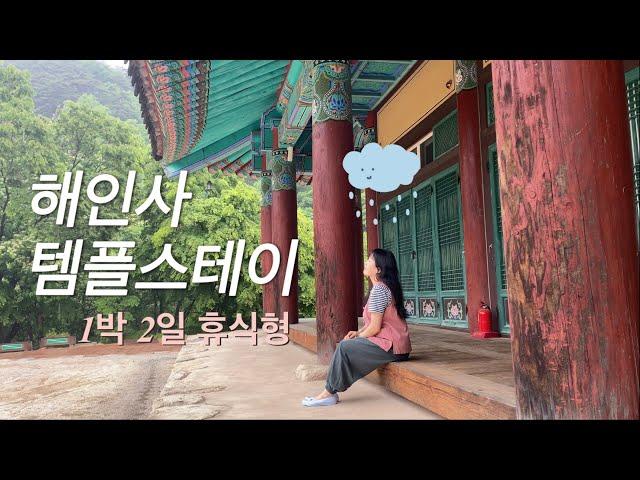 해인사 템플스테이 vlogㅣ뚜벅이로 버스타고 ㅣ비오는 산사️ㅣ정말 휴식만 하다오는 불린이