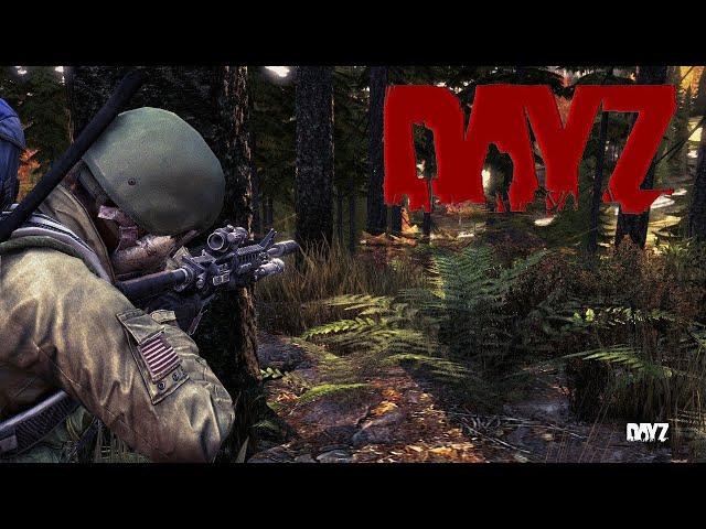 DAYZ ВЫЖИВАНИЕ С НУЛЯ С ДРУГОМ #2 / НОВИЧОК В DAYZ 2022 / прохождение DAYZ обзор