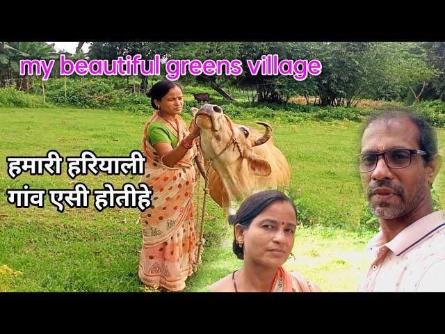 हमारी हरियाली गांव एसी होती है/my village life vlog/sudam sriya vlog