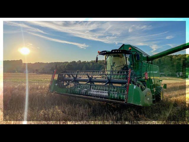 Żniwa Rzepaku 2024 | John Deere w540 | 2x Steyr | Man TGX 18.440