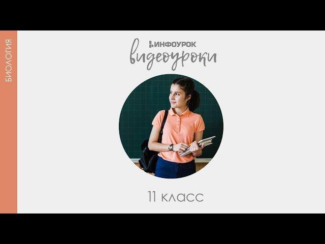 Основы рационального природопользования | Биология 11 класс #29 | Инфоурок