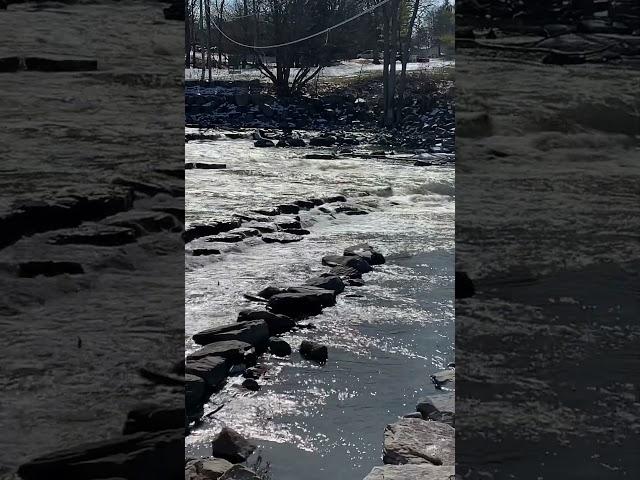 Frankenmuth Rock Ramp On The Cass River/ Michigan