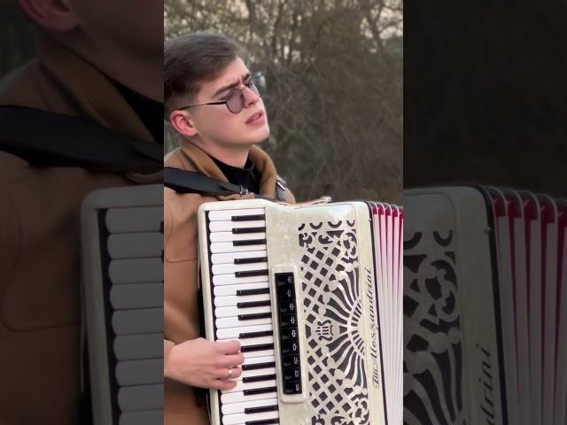Polonaise - Oginski - Accordion #classicalmusic #acordeon