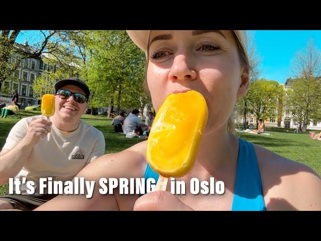 A Short Spring Vlog from Sunny Oslo