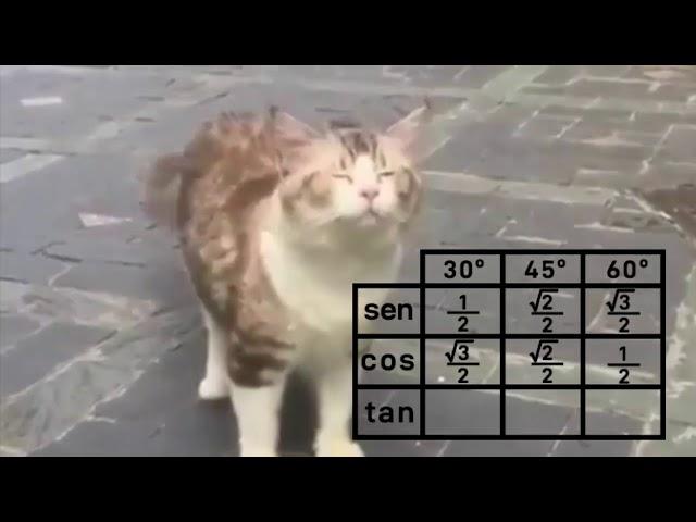 Aquela música que te salva na prova! (funk da trigonometria)