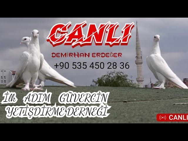 🩸TÜRKİYE 🩸 ANKARA 🩸 SİNCAN 🩸 MEZAT OYUNKUŞU CANLI MEZAT 