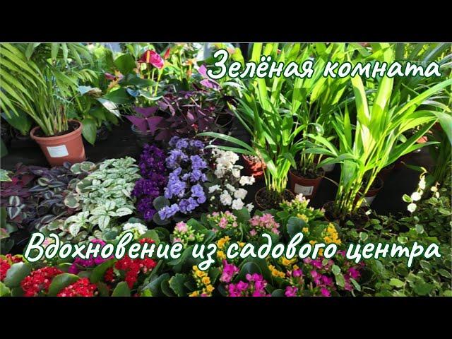 Гид по комнатным растениям: садовый центр "Jardinerie des 3 Frontières", Франция.