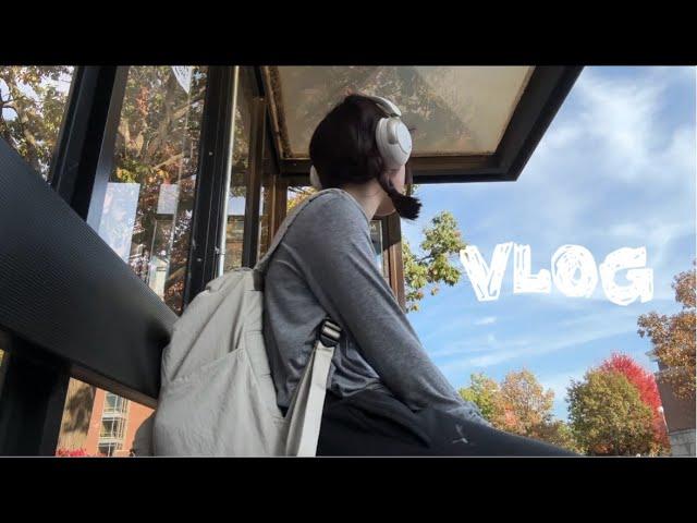 美国留学VLOG. 秋意正浓的上学周记 一人食吃啥 感受校园万圣节氛围 充实的留学生活记录