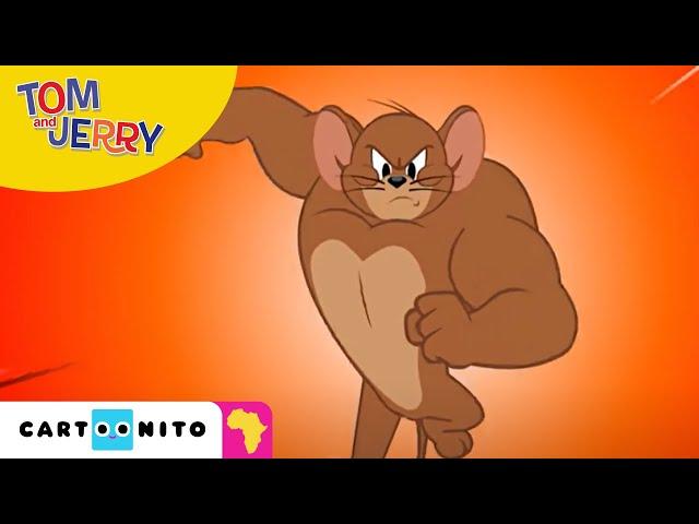 Tom and Jerry: Show their Muscles | Cartoonito Africa