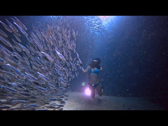 Freediving Girl with Thousands of Sardines