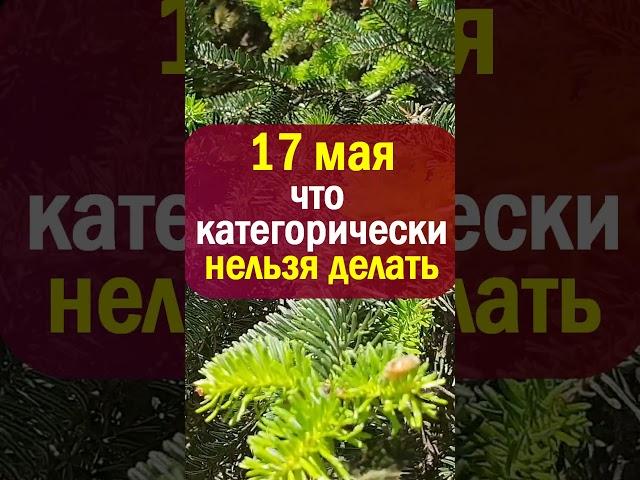 17 мая народный праздник день Пелагея Заступница. Что нельзя делать. Народные приметы и традиции