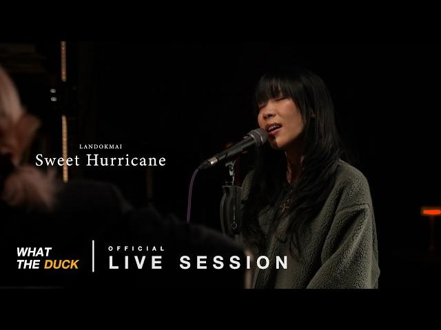 LANDOKMAI - Sweet Hurricane (Cover) [Live Session]