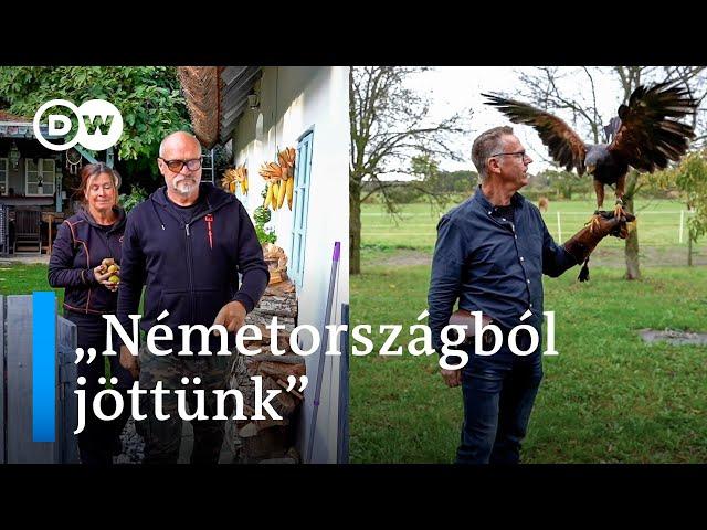 Magyarországra költöző németek: miért jönnek, és meddig maradnak?