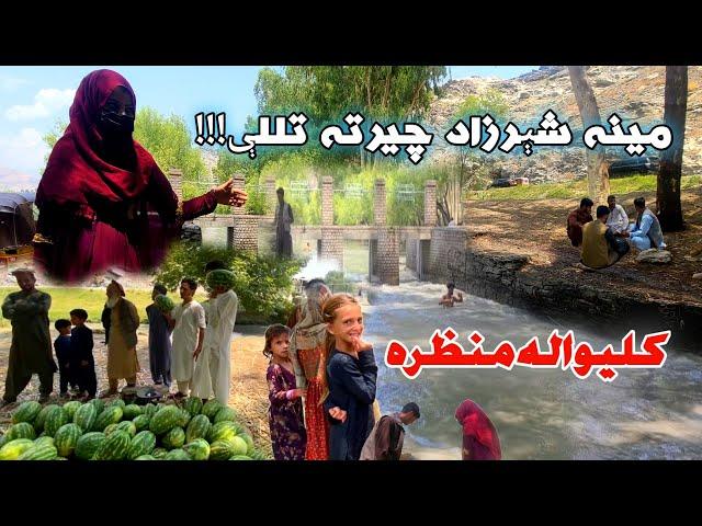 ځانګړې خپرونه له کامې څخه مشهوره په وړې امریکا  (Humayun Mama) Nangarhar Kama Shir yakh