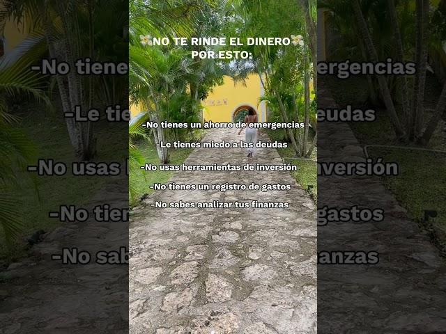 ¿POR QUÉ NO ME RINDE EL DINERO? 
