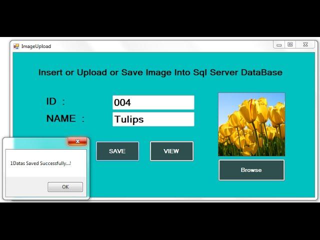 C# Upload or Insert Image into SQL DataBase