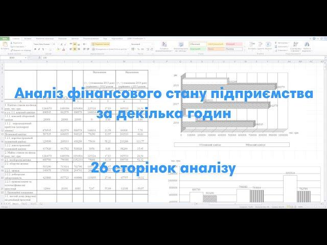 Аналіз фінансового стану підприємства за декілька годин