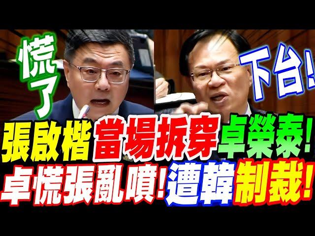 【全字幕】開議第一炮！張啟楷當場揭穿卓榮泰！下台！卓慌了手腳亂噴！遭韓國瑜出面制裁！總質詢20250304 #總預算 #川普 #台電 #抗中保台