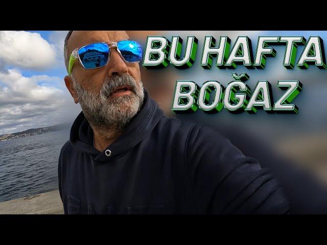 Boğazda Bu Hafta Çinekop - Lüfer - Palamut Peşinde...