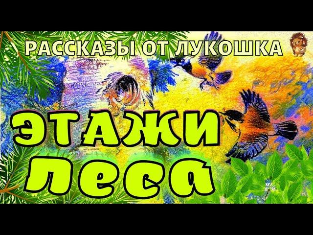 ЭТАЖИ ЛЕСА — Рассказ | Михаил Пришвин | Аудио рассказы | Рассказы Пришвина | Книги Онлайн