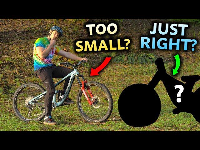 Are My Bikes Too Small for me? - I Bought Something BIGGER!