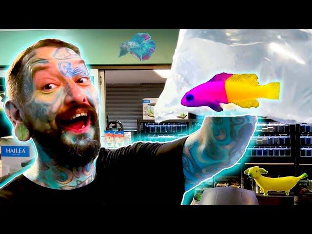 UNBOXING AMAZING TROPICAL FISH FOR MY AQUARIUM STORE!