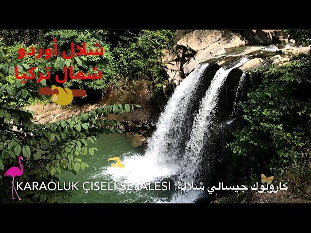  شلال كارَلووك جيسالي شلاله ولاية أوردو شمال تركيا  KARAOLUK ÇISELI ŞELALESI