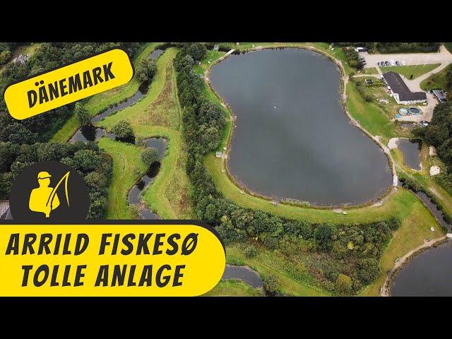 Arrild Fiskesø - tolle Anlage in Dänemark