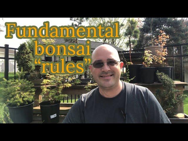 Fundamental bonsai "rules" for beginners and basics