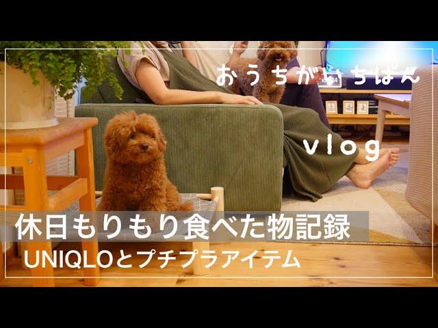 【５０代夫婦の休日vlog】ユニクロとstandard products購入品/美味しいご飯