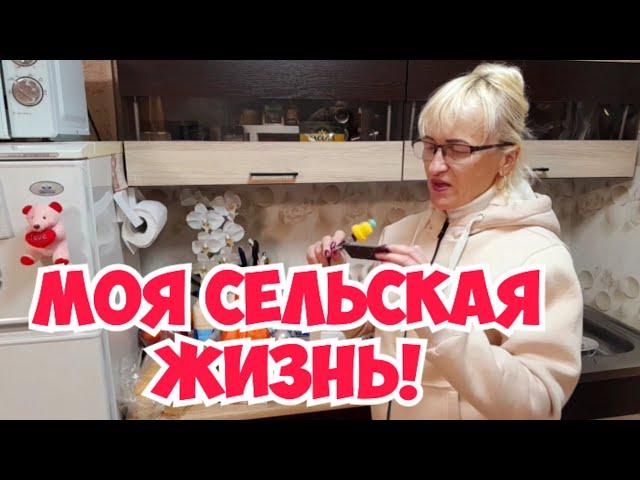 Сельские будни! Покупки, Вайлдберриз.Работа в огороде. Быстрый обед.