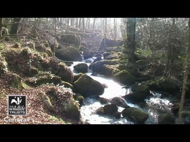 Cornwall Wildlife Trust Nature Reserves