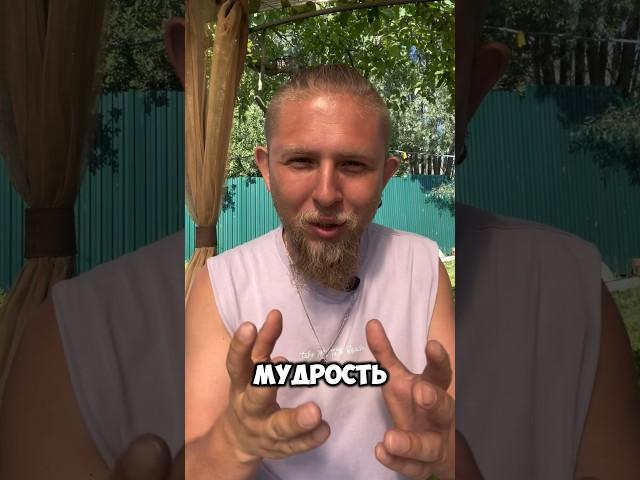 Мудрость от Конфуция #конфуций #мудрость #мудрецсказал #мудростьмысли #мудрыеслова #философия