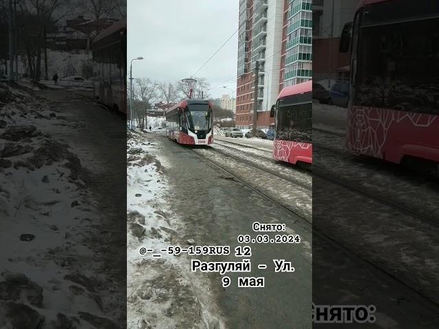 2049 Мой тг канал Транспорт Города Перми
