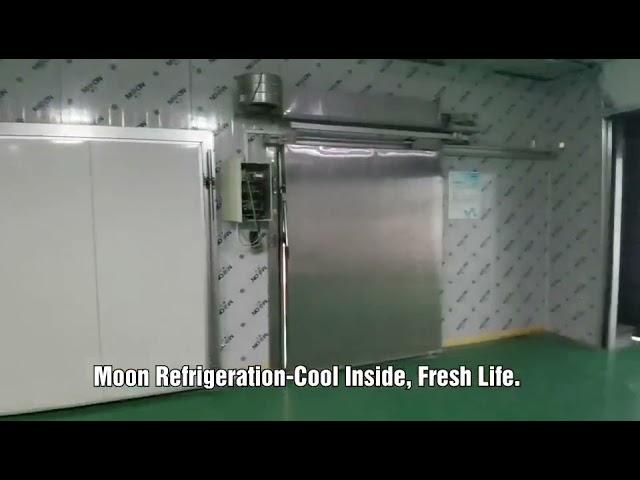 Cold room manufacturer plant showroom