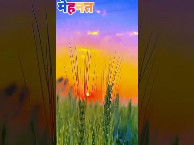 #manmauji song WhatsApp status #angraj #paswan Bhojpuri_ song WhatsApp status