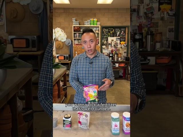 Fertilize Your Orchids
