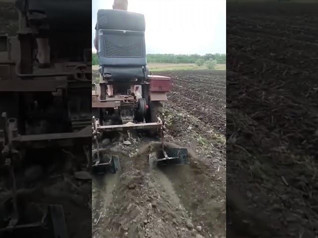 fast tool for plowing rice fields #shorts
