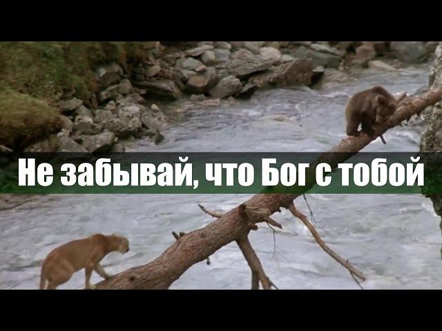 Не забывай, что Бог с тобой | Красивая песня и клип | Христианские песни