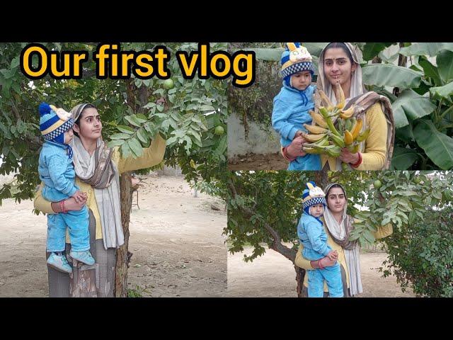 Our first vlog || #garden ||