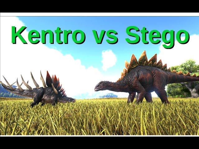 Kentrosaurus VS Stegosaurus || Kentro stronger than Stego?! - ARK: Survival Evolved