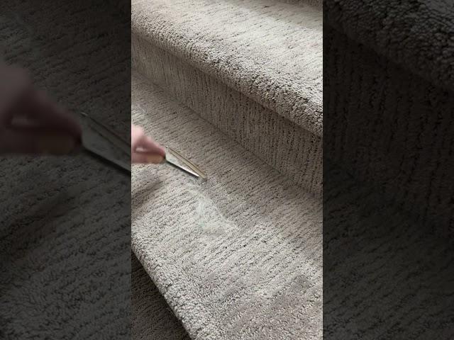 Satisfying Carpet Deep Clean Using Carpet Scraper