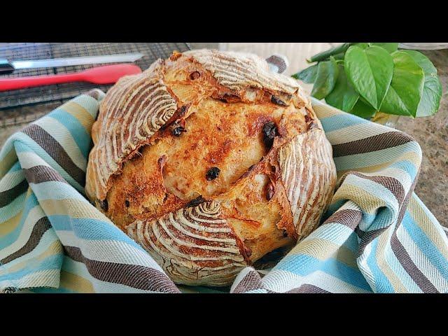 免揉面的蔓越莓核桃欧包|无油无糖 |No knead Cranberry walnuts Bread|no oli, no sugar.