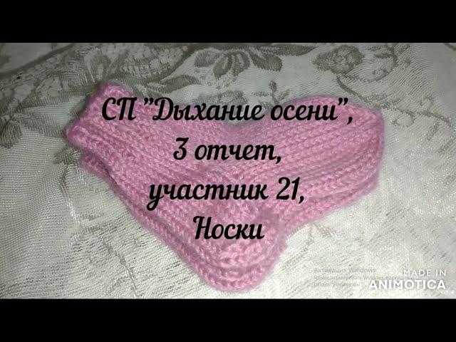 73. СП "Дыхание осени", 3 отчет, участник 21. Носки